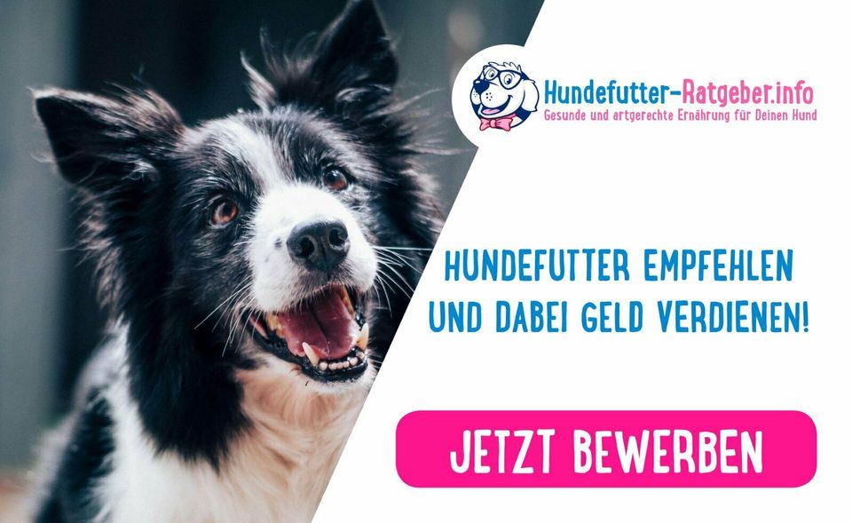 Selbstständig als Futterberater (Nur für Hundebesitzer) in Drensteinfurt