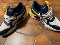 Puma running Rheinland-Pfalz - Urbach Westerw Vorschau