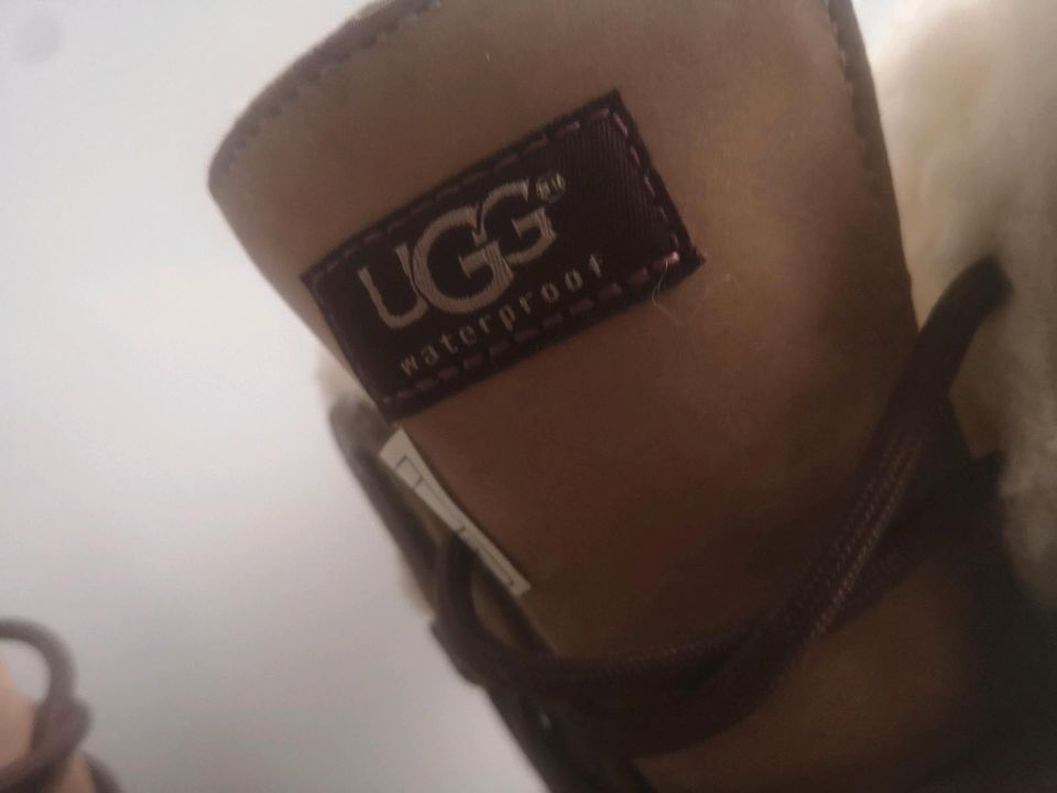 Damen Schuhe Boots UGG GTX AdirondackGr 41 Milch Kaffe Leder Pelz in Duisburg