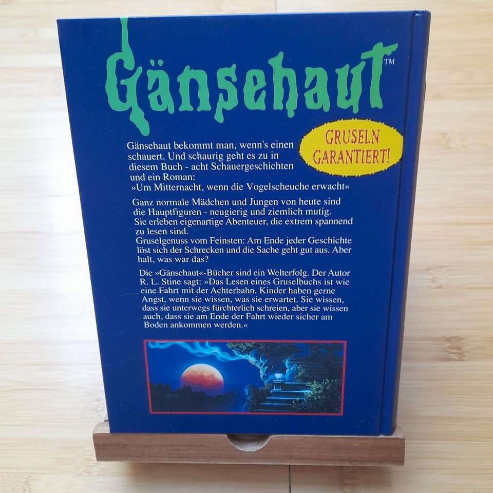 Robert L. Stine: Gänsehautgeschichten in Donaueschingen