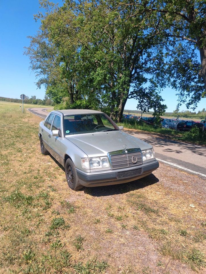 Mercedes W124 260E in Jessen (Elster)