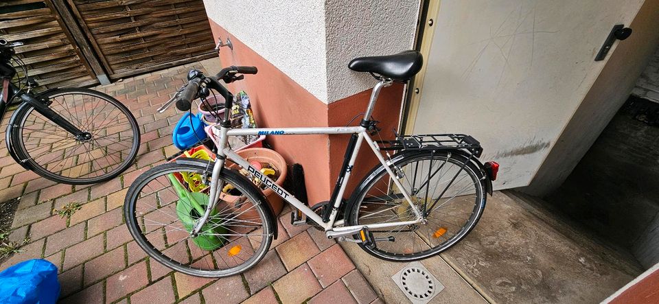 Peugeot Fahrrad in Berlin