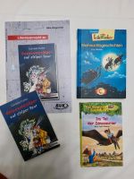 Kinderbücher lesealter ab 7 und 8 Jahren je 3€ Baden-Württemberg - Offenburg Vorschau