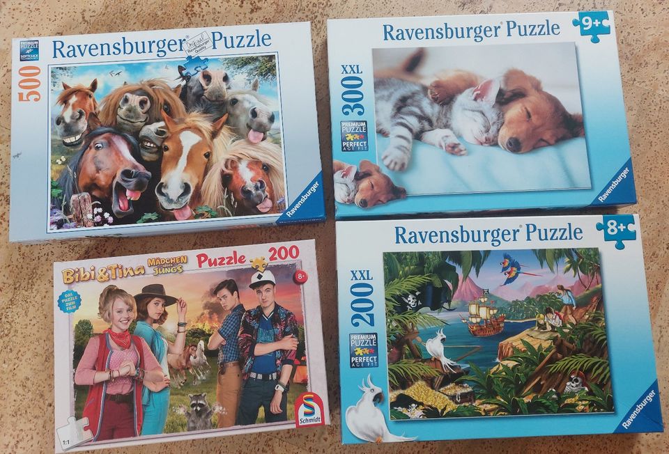 6 Puzzles ab 8 Jahren in Regensburg