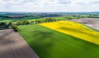 Suchen Ackerland Rheinland-Pfalz - Grafschaft Vorschau