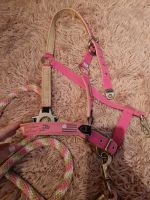 Hv polo Halfter mit Strick pink wb Nordrhein-Westfalen - Oberhausen Vorschau