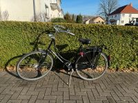 Gazelle Basic Damenfahrrad schwarz Niedersachsen - Quakenbrück Vorschau