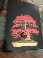 2 große Bücher im Schuber Bonsai inkl. Versand Bayern - Neumarkt i.d.OPf. Vorschau