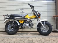 Skyteam T-Rex 50cc Hessen - Schöneck Vorschau