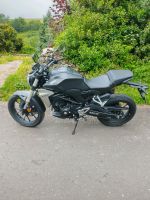 Honda CB 300r 2018 Nordrhein-Westfalen - Hellenthal Vorschau