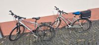 2 Fahrräder von Winora 28 Zoll Thüringen - Berka/Werra Vorschau
