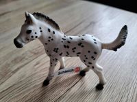 Schleich 17076 Knabstrupper Fohlen Baden-Württemberg - Eggenstein-Leopoldshafen Vorschau