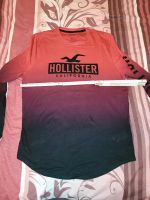 NEU Hollister Longsleeve Sweatshirt L Nordrhein-Westfalen - Bad Berleburg Vorschau