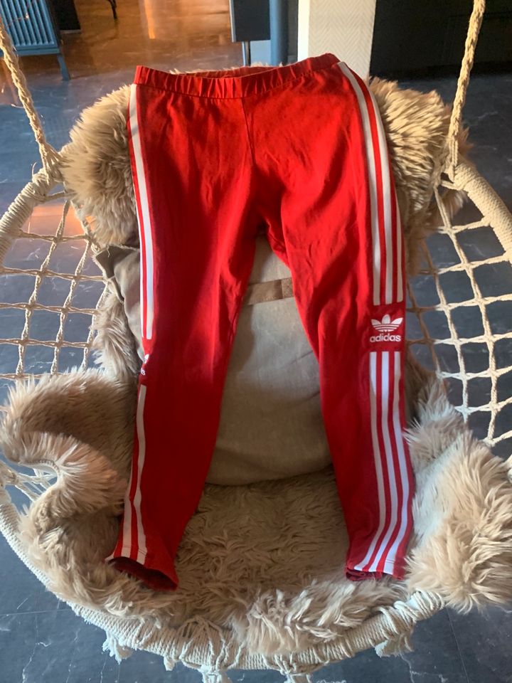 Adidas Leggins Neu in Duisburg