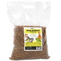 Mehlwürmer getrocknet 1kg Vogel Hühner Nager Fisch Igel Futter Nordfriesland - Viöl Vorschau