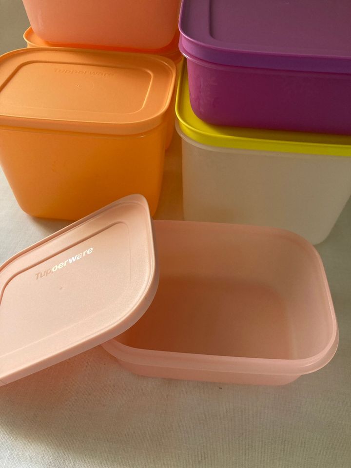 Tupperware Eiskristall/Gefrierbehälter Set (6) o. (4) o. (2) *NEU in Aichelberg