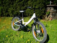 Kinderfahrrad Pegasus Avanti 20 Zoll Bayern - Bad Reichenhall Vorschau