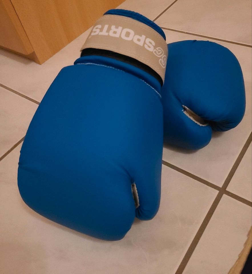Boxsack inklusive Handschuhe und Aufhängung in Herbrechtingen