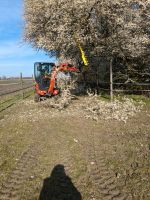 Hecke, Büsche, Bäume und Pflanzen schneiden Nordrhein-Westfalen - Lübbecke  Vorschau