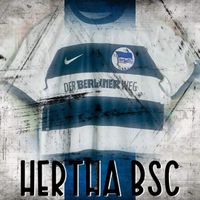 Hertha BSC // Nike // Sondertrikot Laola 90’er Berliner Weg Gr.M Brandenburg - Hohen Neuendorf Vorschau