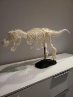 T-Rex Dinosaurier-Skelett - Einzigartiges Sammlerstück Niedersachsen - Buchholz in der Nordheide Vorschau