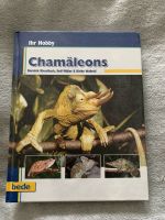 Chamäleon Reptilien Buch Nordrhein-Westfalen - Kamen Vorschau