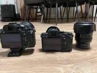 Sony Alpha 7 III G-Master SET mit zwei Bodys Hessen - Stadtallendorf Vorschau