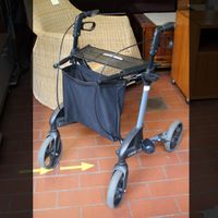 Gehwagen Tropo Troja Viva M | Gehhilfe | Rollator Schleswig-Holstein - Oeversee Vorschau