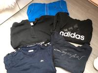 Sweatshirt Gr. M Lacoste,Lagerfeld,Hollister,Adidas Hessen - Sontra Vorschau
