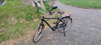 Elops Cruiser Fahrrad 28 Zoll Niedersachsen - Ottersberg Vorschau