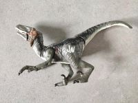 Jurassic world velociraptor raptor Hasbro 2015 Brandenburg - Zeuthen Vorschau