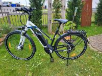 Damen E-Bike Pegasus Baden-Württemberg - Haigerloch Vorschau