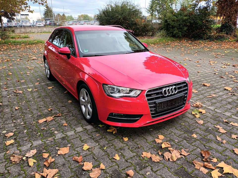 Audi A3 Sportsback Quattro 2.0 TDI Navi SHZ Tempomat in Maintal