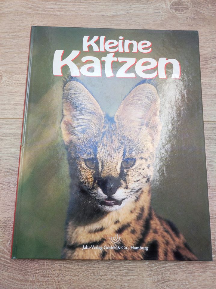 Katzenbuch in Haynrode