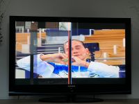 Samsung 50“ Plasma Fernseher zu verschenken Elektroschrott Niedersachsen - Nordhorn Vorschau
