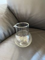 Milchkännchen Sahnekännchen aus Glas NEU unbenutzt Pankow - Prenzlauer Berg Vorschau