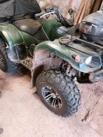 Yamaha Grizzly 660, Quad Hessen - Borken Vorschau