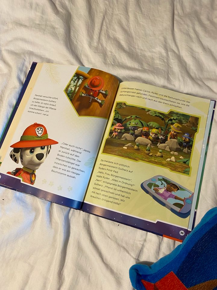 Paw patrol Buch und Kissen in Rimbach