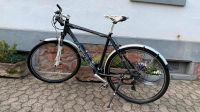 Campus Cobra 28" Zoll Trekkingrad 24-Gang, hochwertige Teile Hessen - Groß-Gerau Vorschau