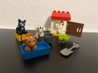 Lego Duplo 10870 Tiere auf dem Bauernhof Brandenburg - Stahnsdorf Vorschau