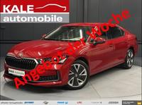 Skoda Superb Lim. 2.0 TDI DSG 4x4 Selection*HeadUp*360 Niedersachsen - Helmstedt Vorschau