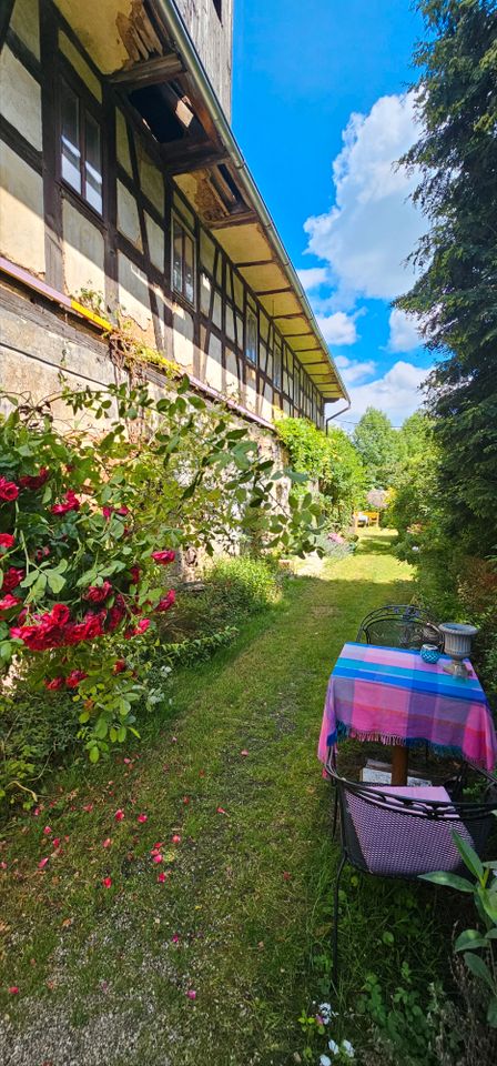 3-Seiten-Hof-Oase mit 4 Gebäuden, eigenem Teich und ca.10.073 m² Grundstück in Ziegelheim