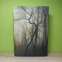 Auf immer gejagt, Bd.1, Fantasy, Königreich der Wälder Nordrhein-Westfalen - Baesweiler Vorschau