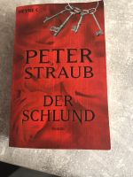 Buch Roman „der Schlund“ Baden-Württemberg - Königsbach-Stein  Vorschau