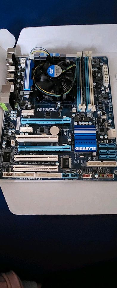 Mainboard von gigabyte in Kaiserslautern