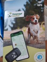 GPS Tracker für Hunde NEU Duisburg - Wehofen Vorschau