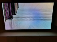 Fernsehr 65 zoll Samsung defekt Nordrhein-Westfalen - Bottrop Vorschau