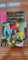 Buch fünf Freunde von Enid Blyton "wie alles begann" Sachsen - Chemnitz Vorschau