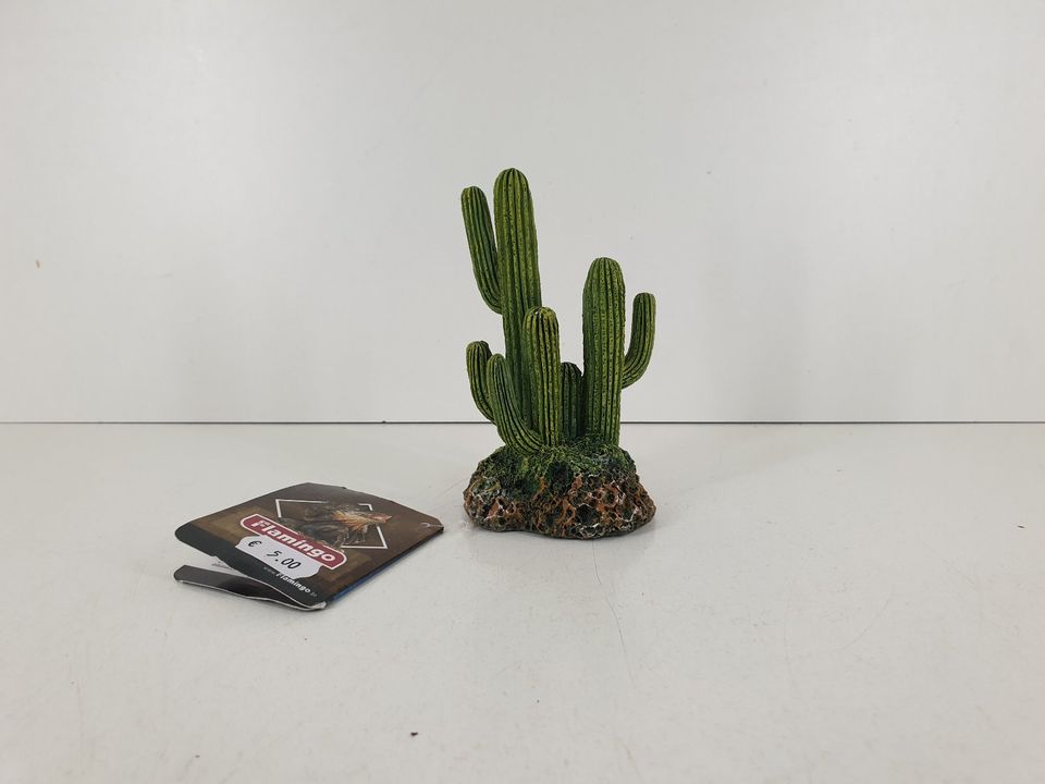 Terrarium Deko - schöner detailreicher Kaktus 7x5x12cm *NEU* in Bornheim