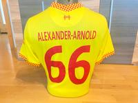 Original ALEXANDER ARNOLD Liverpool Trikot M DB5902-704 Trent Hessen - Limburg Vorschau